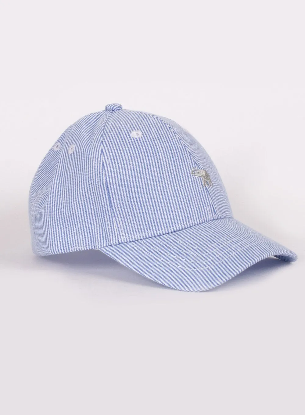 Charlie Cap in Blue Stripe