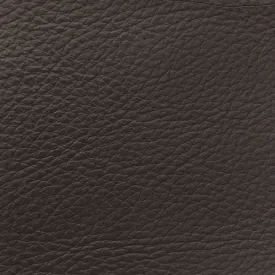 Coffee Leather Swatch