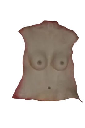 Female Human Torso Skin